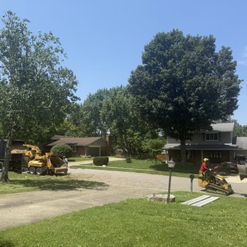 SJD Tree Care - Tree Services Near Me - Dayton, Ohio SJD Tree Care - Tree Services Near Me - Dayton, Ohio