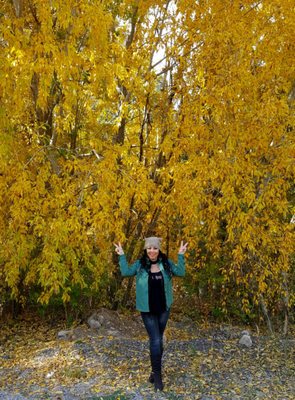 Hyde Memorial State Park by null