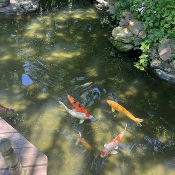 Chandor Gardens - Venues & Event Spaces Near Me - Weatherford, Texas Chandor Gardens - Venues & Event Spaces Near Me - Weatherford, Texas
