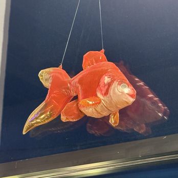 Fizz ed - A fish sculpture hanging in the window - New American Near Me - Boone, North Carolina