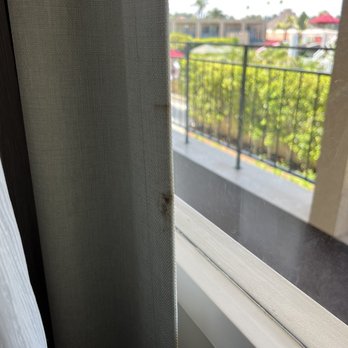 Hyatt Regency - Blood stains on curtain - Hotels Near Me - Newport Beach, California Hyatt Regency - Blood stains on curtain - Hotels Near Me - Newport Beach, California