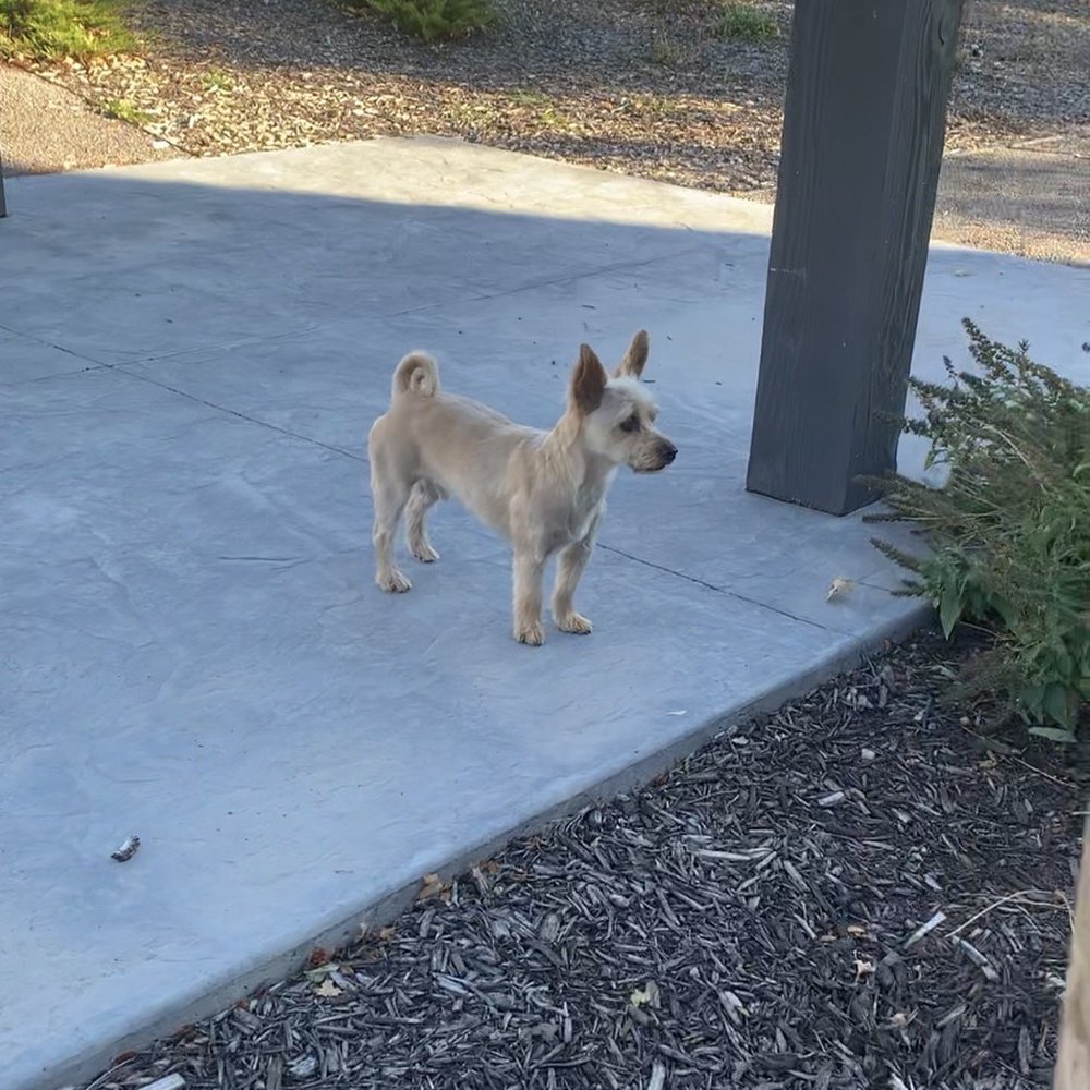 Petco - Pet Training Near Me - Draper, Utah Petco - Pet Training Near Me - Draper, Utah