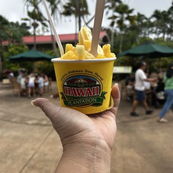 Dole Plantation - Omg - Tours Near Me - Wahiawa, Hawaii