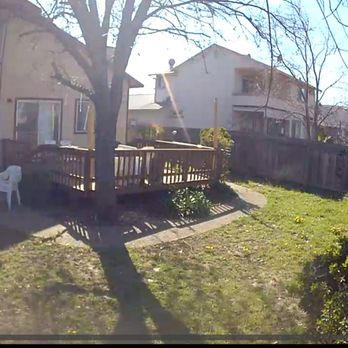 A J Tree Service - Before - Tree Services Near Me - Sacramento, California