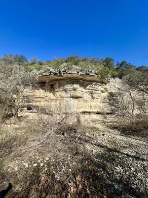 Barton Creek Greenbelt by null