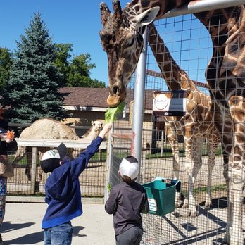 Boulder Ridge Wild Animal Park - Zoos Near Me - Alto, Michigan Boulder Ridge Wild Animal Park - Zoos Near Me - Alto, Michigan
