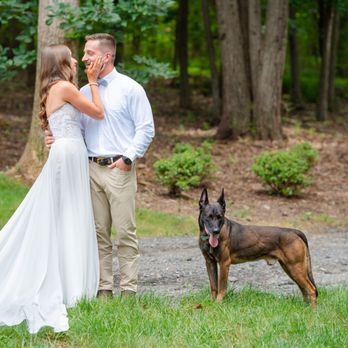 Sylvanside Farm - Pup Friiendly - Venues & Event Spaces Near Me - Purcellville, Virginia Sylvanside Farm - Pup Friiendly - Venues & Event Spaces Near Me - Purcellville, Virginia