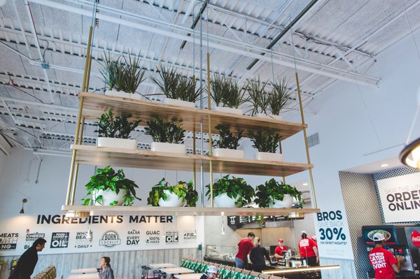 DosBros Fresh Mexican Grill by null