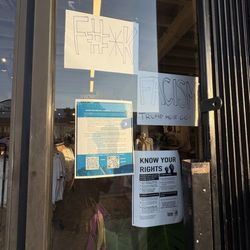 The Bearded Beagle - Window display