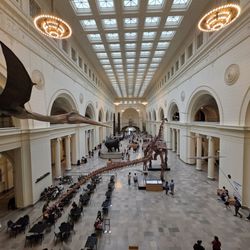 Field Museum Store