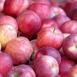 Talarico's Produce - Everything here deserves having a camera pointed at it