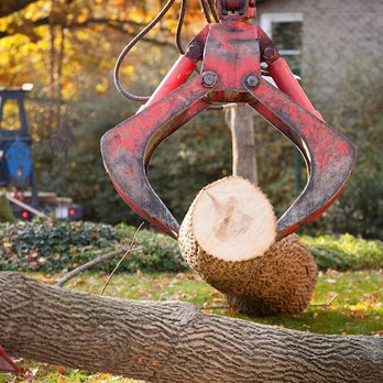Arborist Enterprises - Tree Services Near Me - Manheim, Pennsylvania
