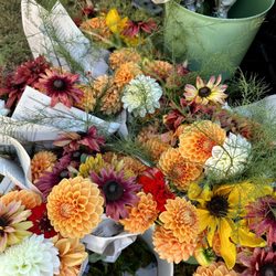 Edgewood Park Farmers' Market - 10.6.2024
