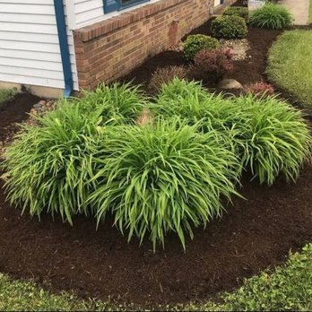Flowerbed landscaping - Landscaping Near Me