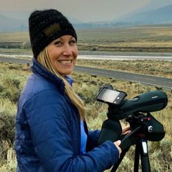 Lamar Valley Touring