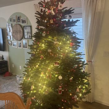 Frog Pond Farm - Christmas Trees Near Me - Wilsonville, Oregon