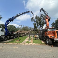 Sweet’s Tree Service - Partnering with another company to tackle storm damage and save the house.