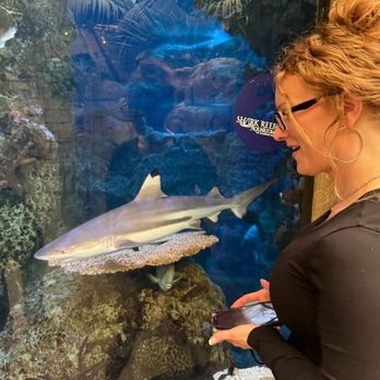 Shark Reef Aquarium at Mandalay Bay - Aquariums Near Me - Las Vegas, Nevada