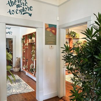 Oasis Plant Shop - Nurseries & Gardening Near Me - Dallas, Texas