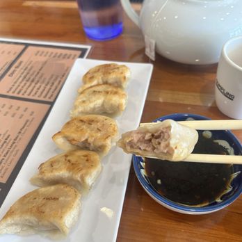 Dillon's Dumpling House - Pan fried pork dumplings - Dim Sum Near Me - Aurora, Colorado Dillon's Dumpling House - Pan fried pork dumplings - Dim Sum Near Me - Aurora, Colorado