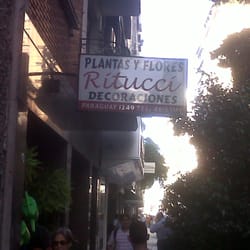 Ritucci Plantas