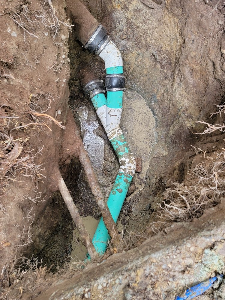 Slide of Washington Rooter