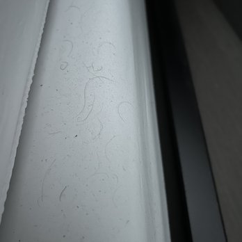 avid hotel Detroit - Warren - Hair and dust on bed - Hotels Near Me - Warren, Michigan