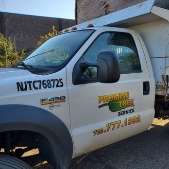 Promise Tree & Landscape Service - NJ Business Registration # - Tree Services Near Me Promise Tree & Landscape Service - NJ Business Registration # - Tree Services Near Me