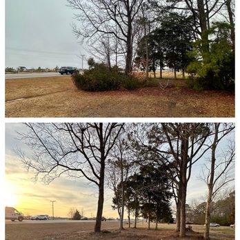 Doyle Enterprises - Brush Removal - Lawn Services Near Me
