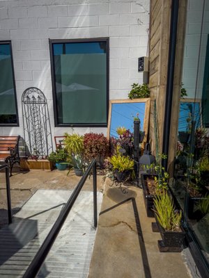 Native Coffee by null