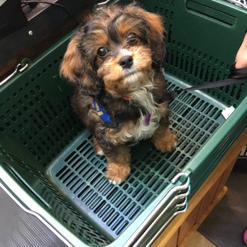 All The Best Pet Care - Pet Stores Near Me - Seattle, Washington All The Best Pet Care - Pet Stores Near Me - Seattle, Washington