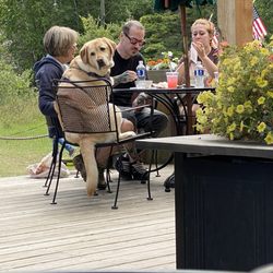 Outdoor patio dining