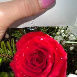 Exclusive Flowers and Gifts - I love you?? Really