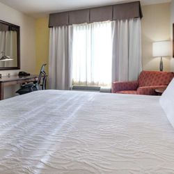 Hilton Garden Inn Devens Common - Guest room
