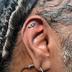 Artisan Body Piercing and Tattoo - A stunning Invictus bat in a flat.
-Kat