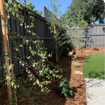 Gove Landscape Construction - a garden with mulch mulch mulch mulch mulch mulch mulch mulch mulch mu - Landscaping Near Me - El Dorado Hills, California