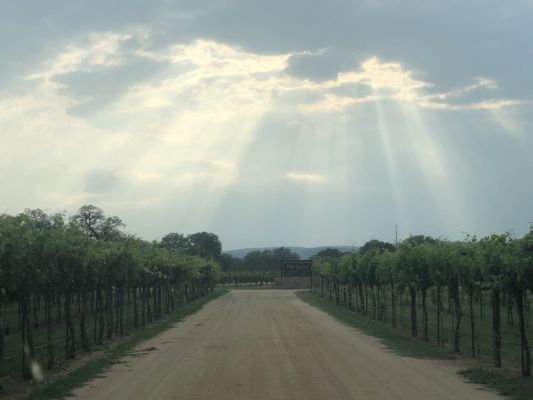 Perissos Vineyard and Winery by null