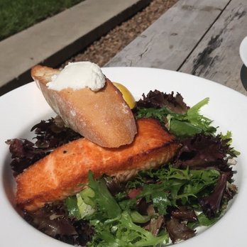 Tiny Boxwoods - Salmon salad - New American Near Me - Houston, Texas Tiny Boxwoods - Salmon salad - New American Near Me - Houston, Texas