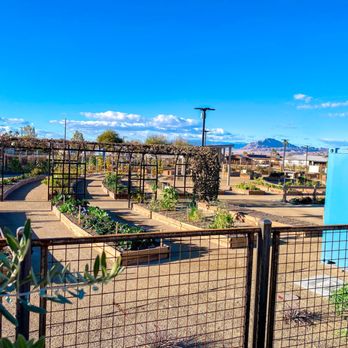 Pumpkin Park - Parks Near Me - Henderson, Nevada Pumpkin Park - Parks Near Me - Henderson, Nevada