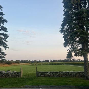 Newport Vineyards - View of the vineyard! Beautiful at sunset - Wineries Near Me - Middletown, Rhode Island