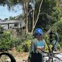 Photo of Gastelum Tree Service