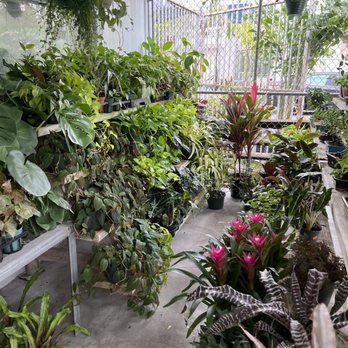 City Oasis - Gift Shops Near Me - Orlando, Florida City Oasis - Gift Shops Near Me - Orlando, Florida
