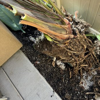 Fred's Junk Removal - Junk Removal & Hauling Near Me Fred's Junk Removal - Junk Removal & Hauling Near Me