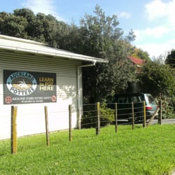Auckland Studio Potters