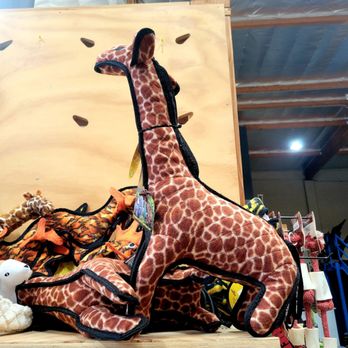 BlueCollar Working Dog - Giraffe Chew Toy (06/14/21). @BlueCollarWorkingDog #EchoPark #Pets - Pet Training Near Me - Los Angeles, California
