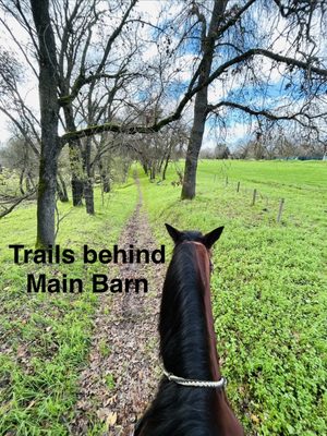 Sacramento Horsemen's Association