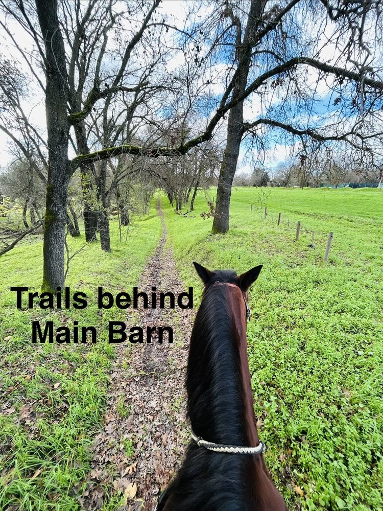 Sacramento Horsemen's Association - wedding in Sacramento, CA