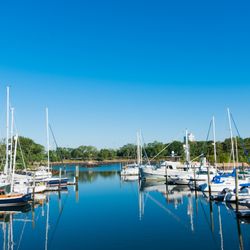Yacht Haven Marina