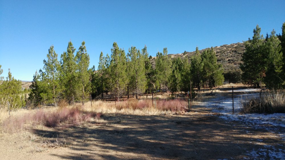 M & D TREE FARM Updated October 2024 8625 Sweetwater Rd, Kingman