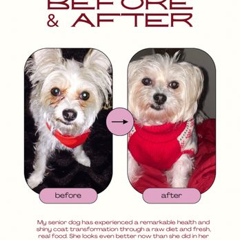 LQ Dog Concierge - Before and after dog allergies - Dog Walkers Near Me LQ Dog Concierge - Before and after dog allergies - Dog Walkers Near Me